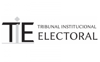 Logo del TIE.