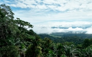 Vista de la Peninsula de Osa.