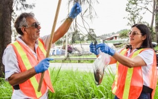 Personas investigadoras realizan pruebas en las plantas