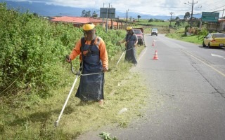 Dos personas realizan corte de zacate al lado del camino.