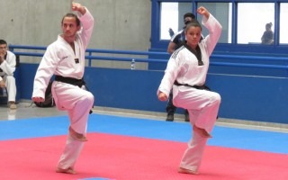 taekwondo tec
