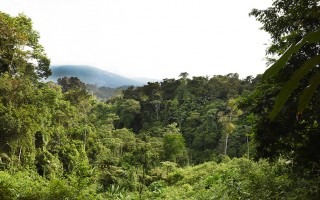 Paisaje boscoso de Talamanca.