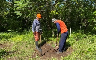 imagen de dos hombres sembrando un árbol  