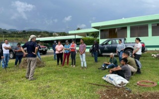 Imagen de varias personas en los cultivos de papa del productor
