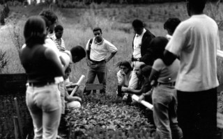 Personas presenciando una charla alrededor de una plantación forestal. 