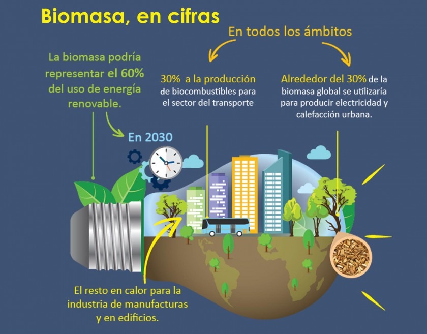 Infografía: Biomasa, en cifras