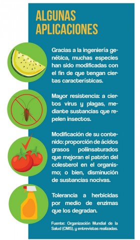 Algunas aplicaciones de los OGM