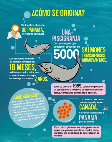 ¿Cómo se origina el salmón AquAdvantage?