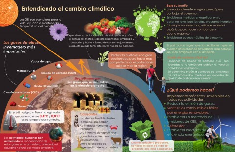 Infografía, Entendiendo el cambio climático