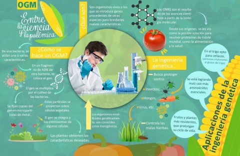 OGM, Entre la ciencia y la polémica