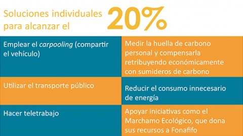 Recuadro, Soluciones individuales para alcanzar el 20%