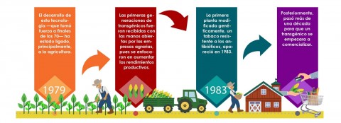 Desarrollo de los OGM