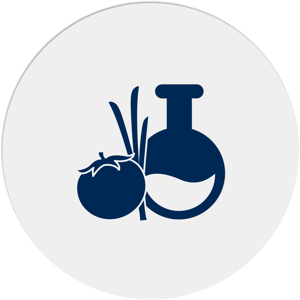 Alimentos