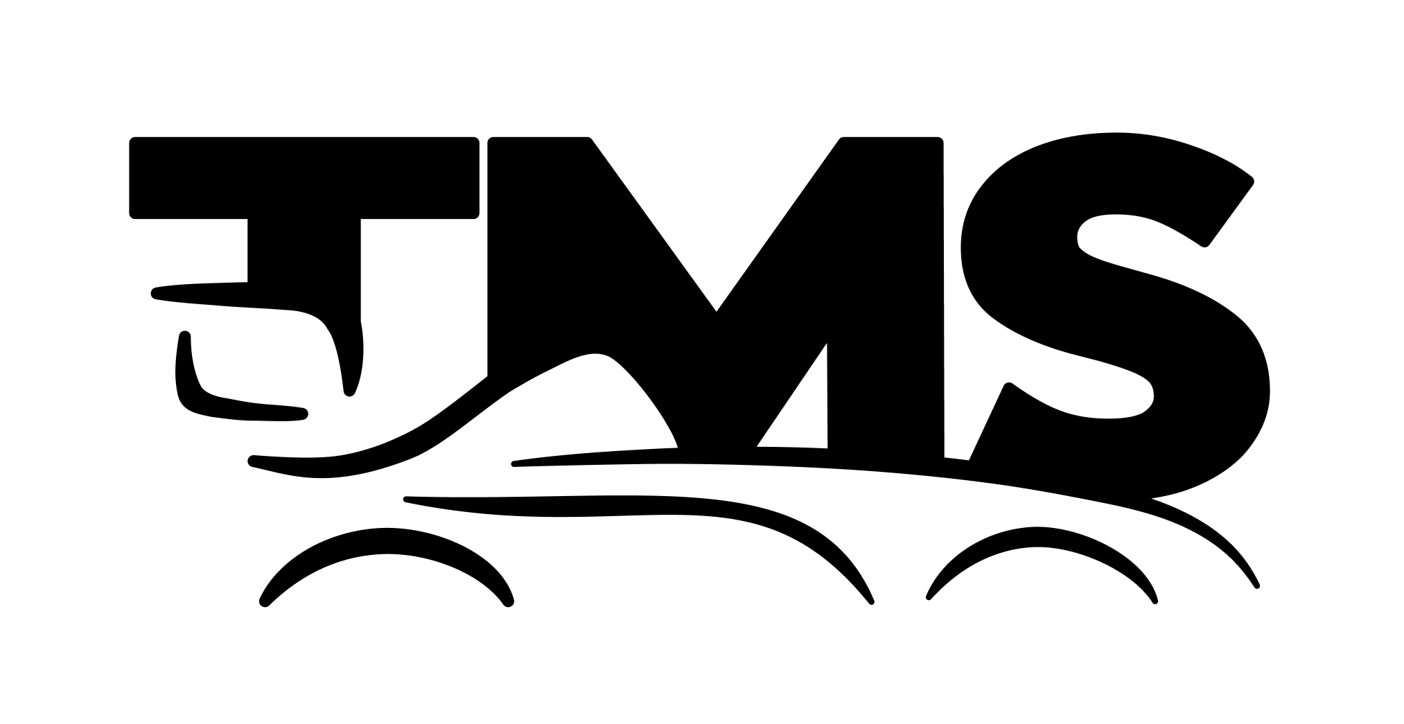 logo tec motorsports 