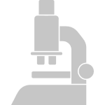 Microscopio