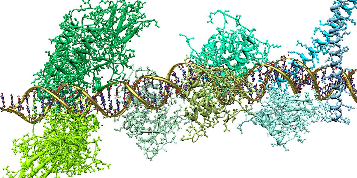 Bioquímica. University of York (2022).