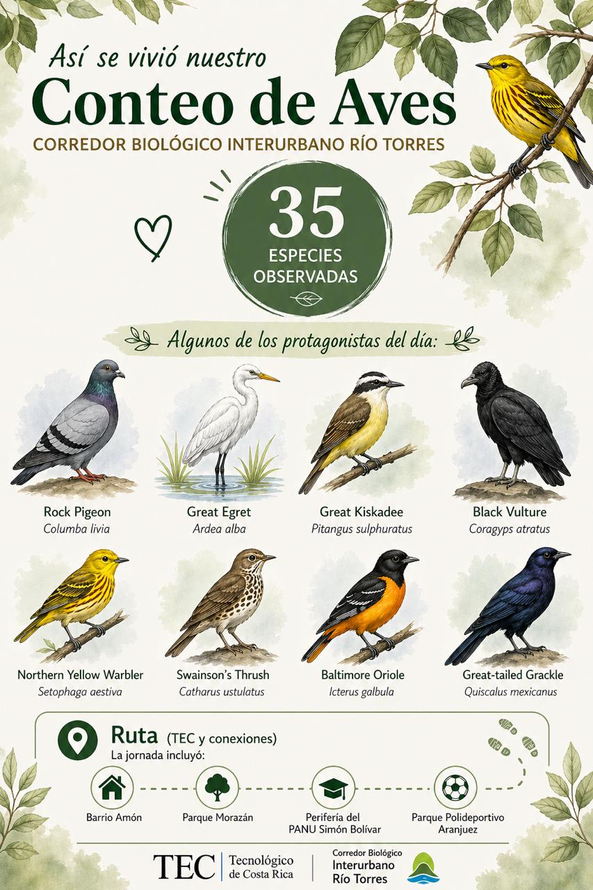 Muestra el conteo de aves
