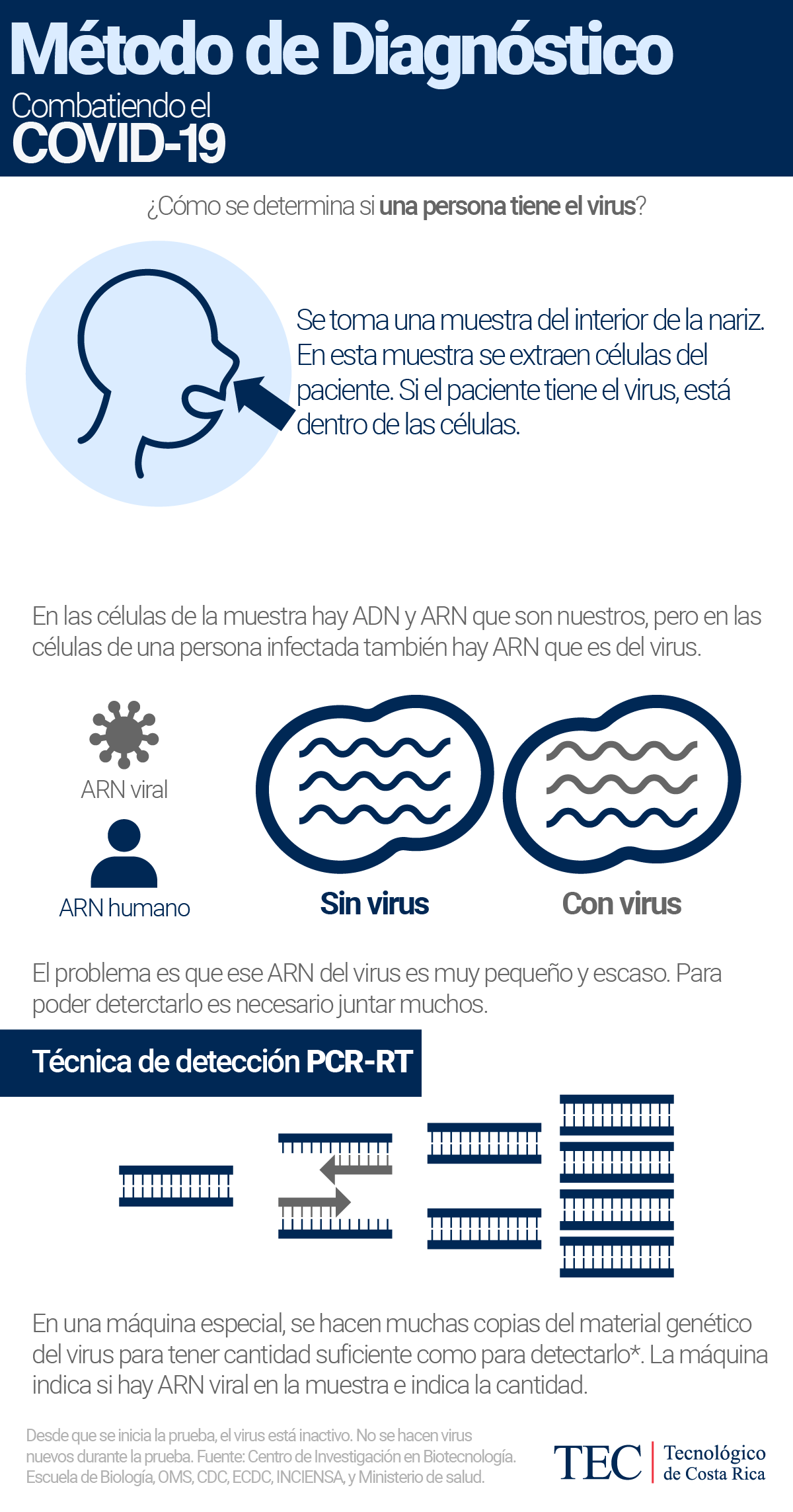 Infografía