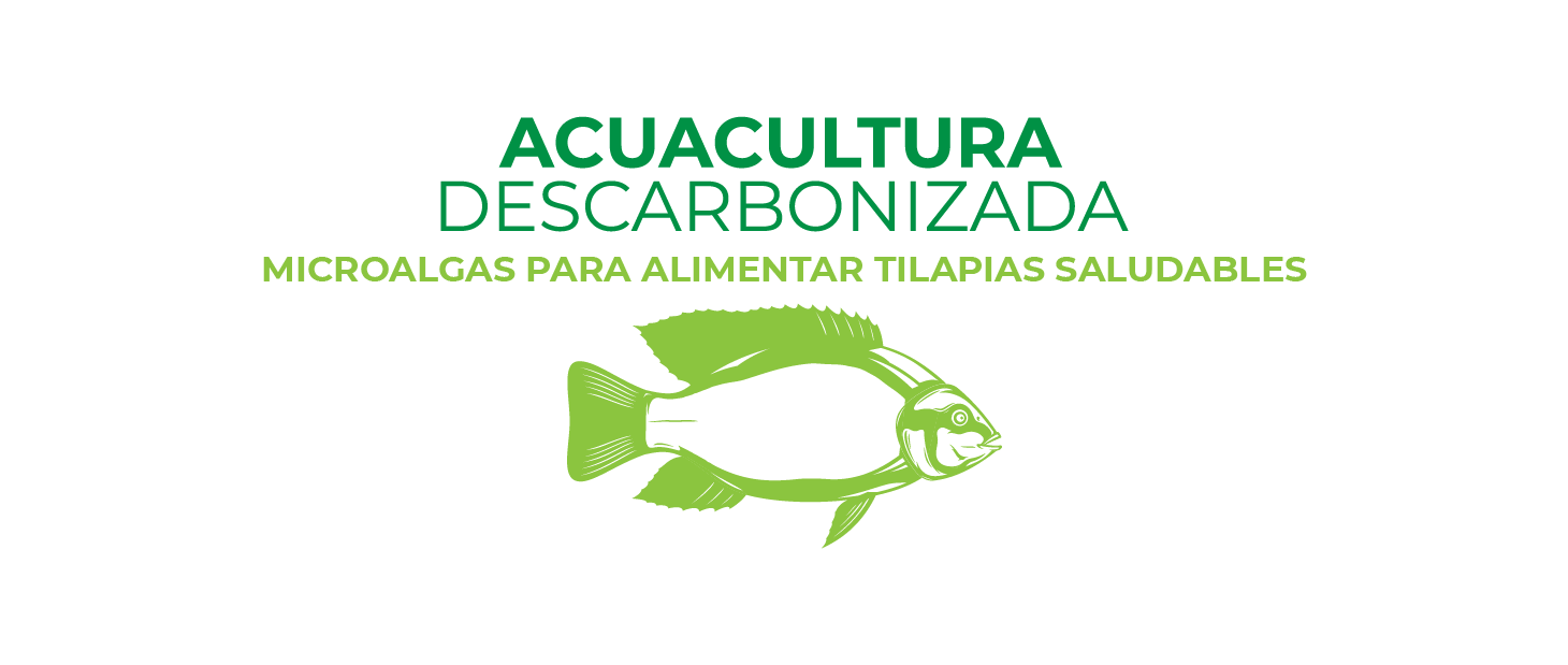 Acuacultura Descarbonizada