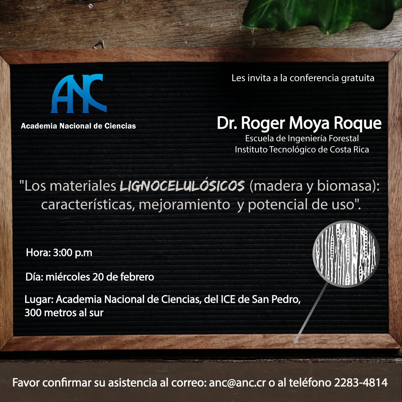 febrero_anc-01