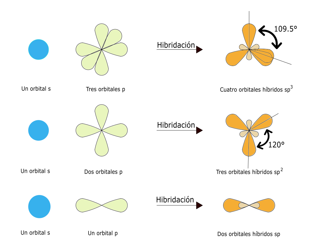 Representación de hibridación de orbitales atómicos para formar orbitales moleculares.