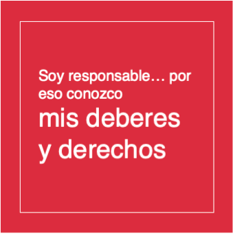 cápsula 1