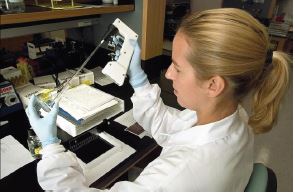 Determinación in vitro del efecto antimicrobiano de nanopartículas de plata, cobre y nanotubos de carbono en fitopatógenos aislados en la zona de Llano Grande de Cartago.
