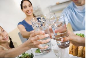 Implementación de un biofiltro para la biorremediación de nitratos en agua para consumo humano del Cantón Central de Cartago en la naciente La Misión.