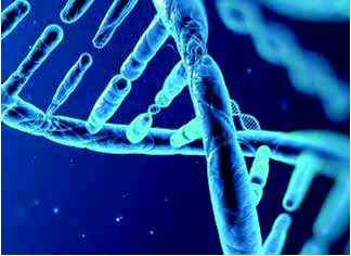 Evaluación de proteínas humanas de interés biomédico mediante espectroscopia. 