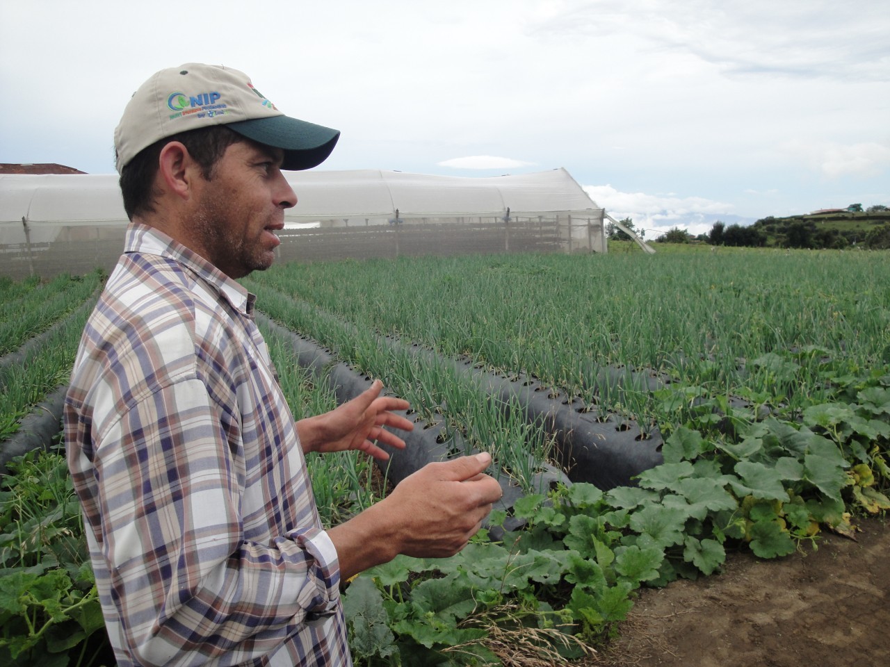 Agricultor.