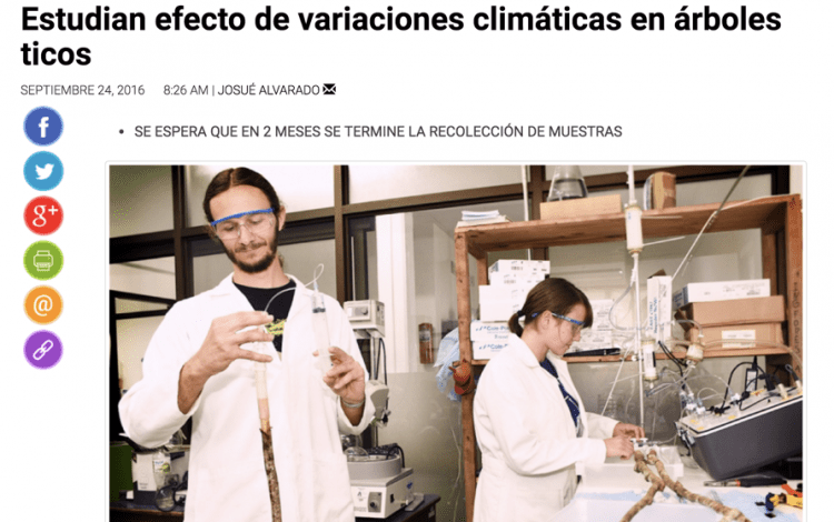 estudiantes en variaciones climáticas en árboles ticos