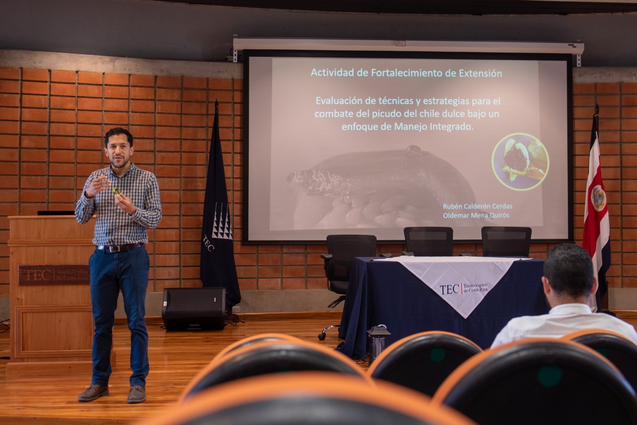 Entrega 