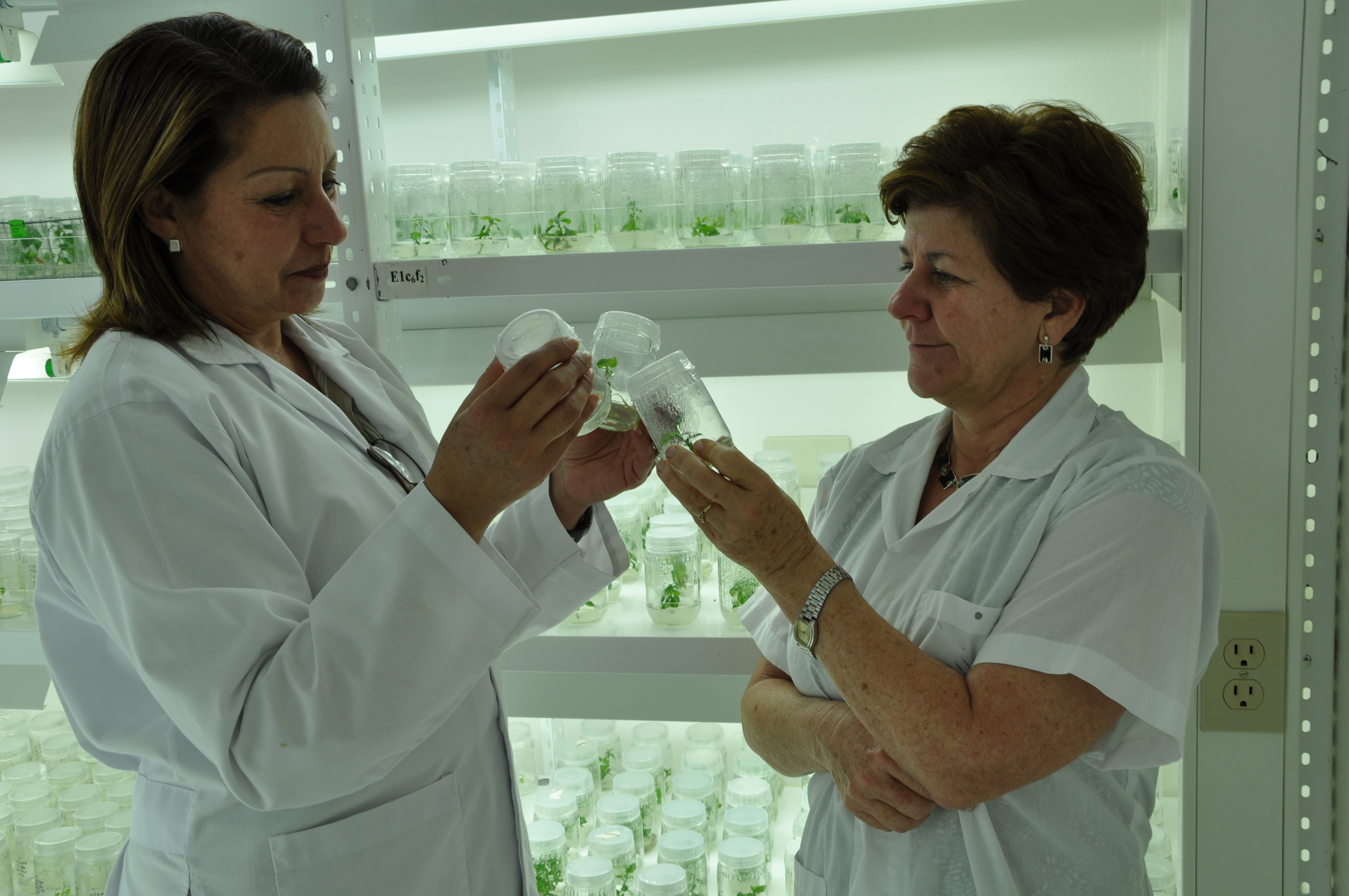 Dos mujeres con bata blanca científica, sosteniendo dos recipientes de vidrio con plantas.