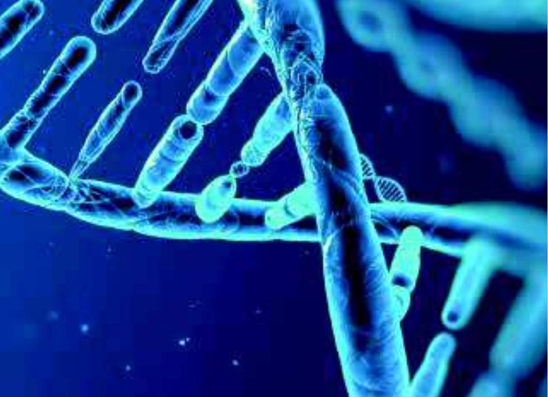 Evaluación de proteínas humanas de interés biomédico mediante espectroscopía Raman.