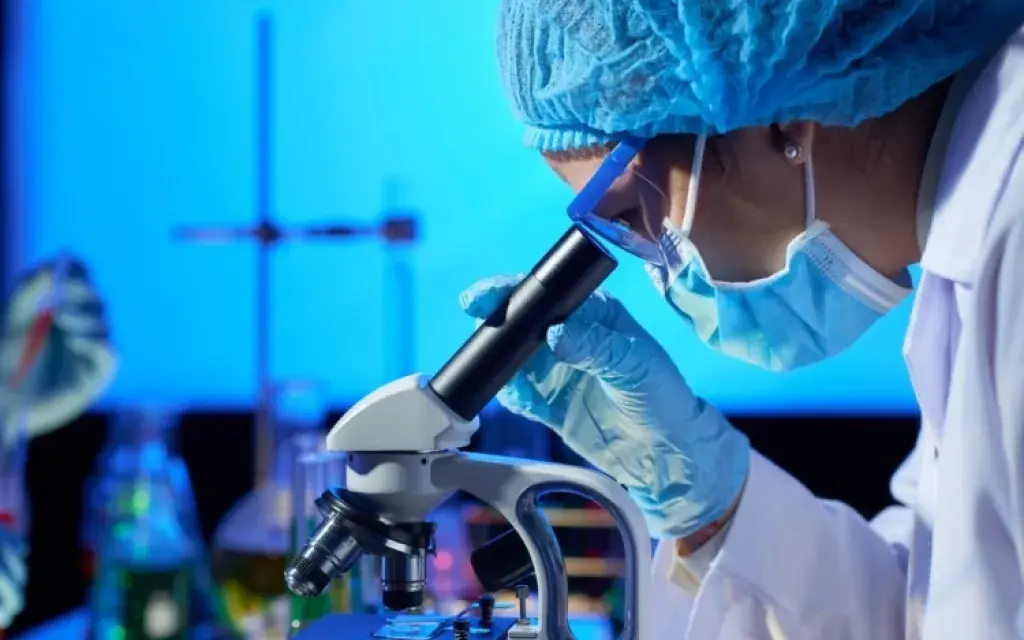 Usando un microscopio
