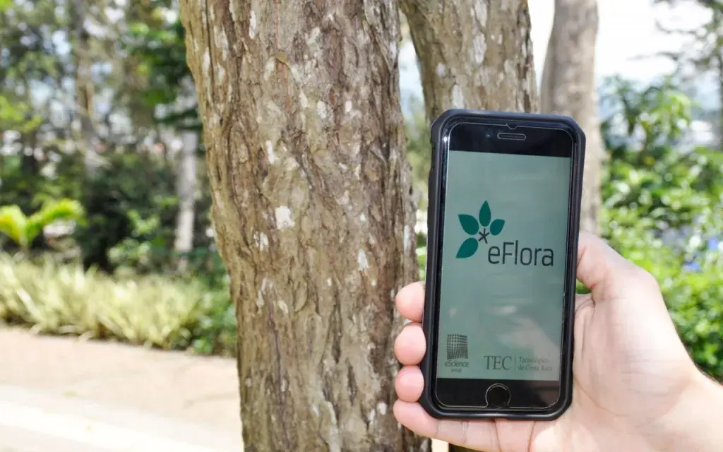 Eflora