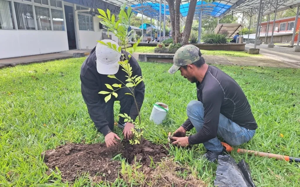 Fotografía de la actividad