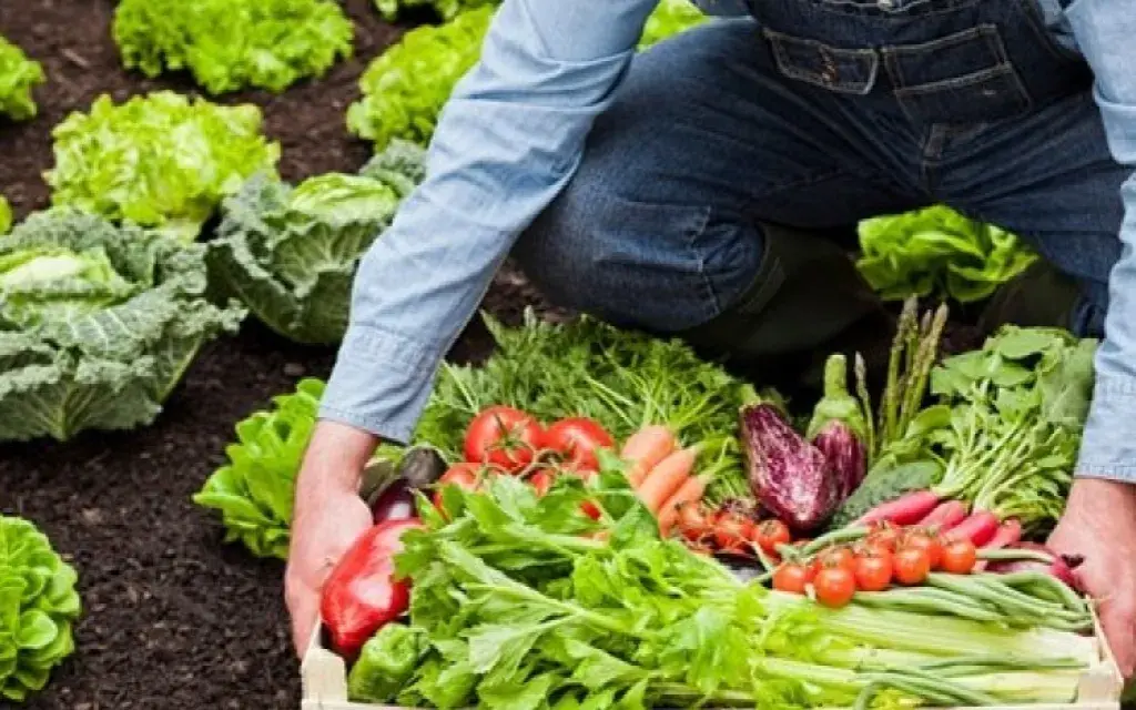 Agricultura