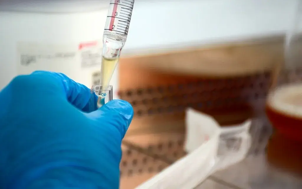 Bioetica