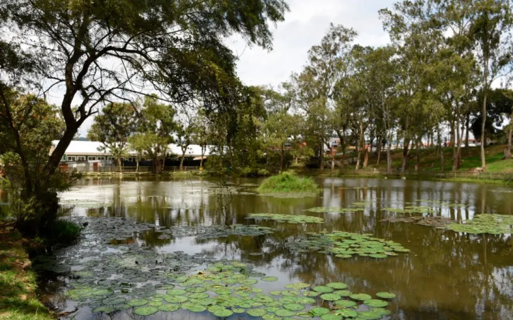 Lago Campus Cartago TEC