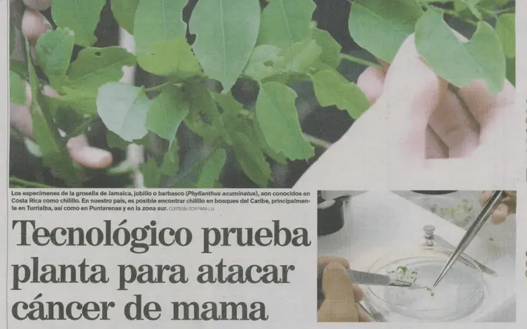 Noticia