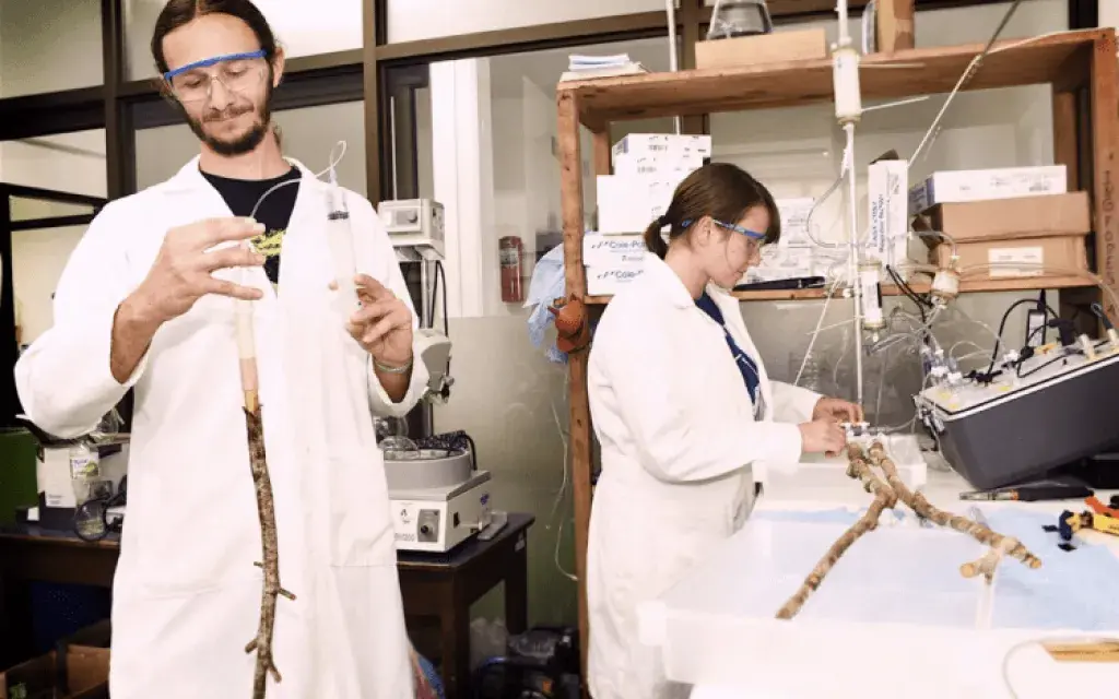 os investigadores Roman Link y Katia Steinhoff