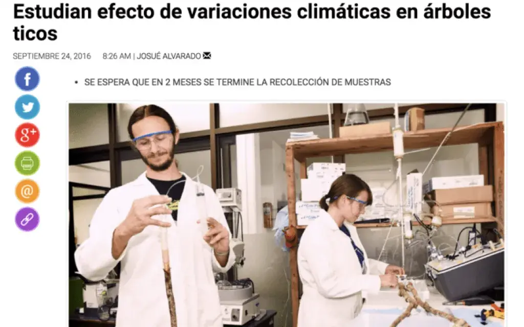 estudiantes en variaciones climáticas en árboles ticos