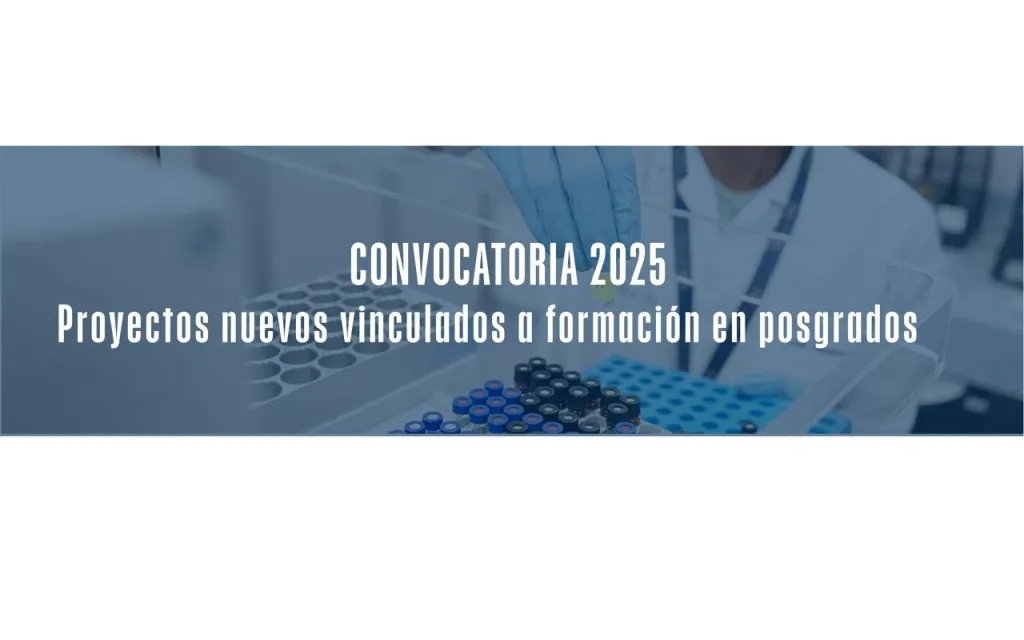 Convocatoria 2025/Vinculación a Formación de Posgrados