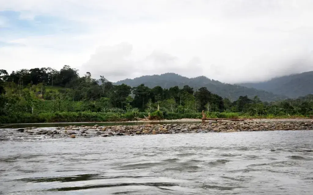 Río Telire