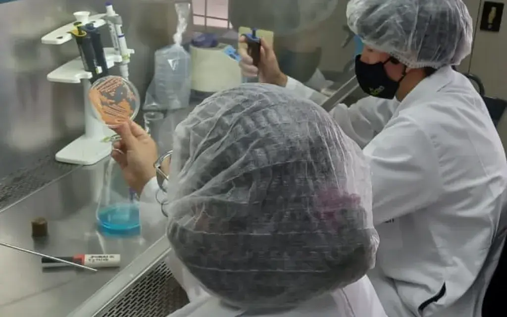 biotecnologia