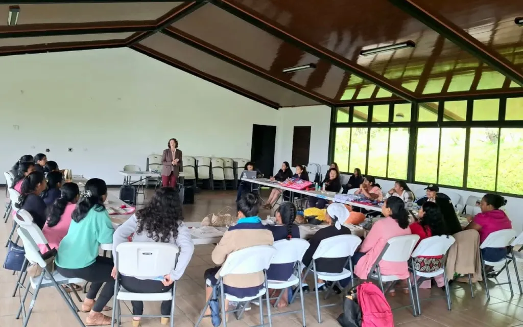 Imagen de una persona dando una charla