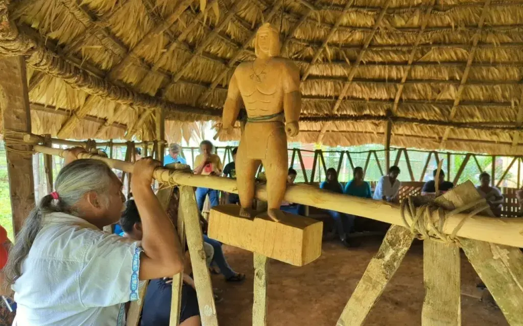 Indigenas