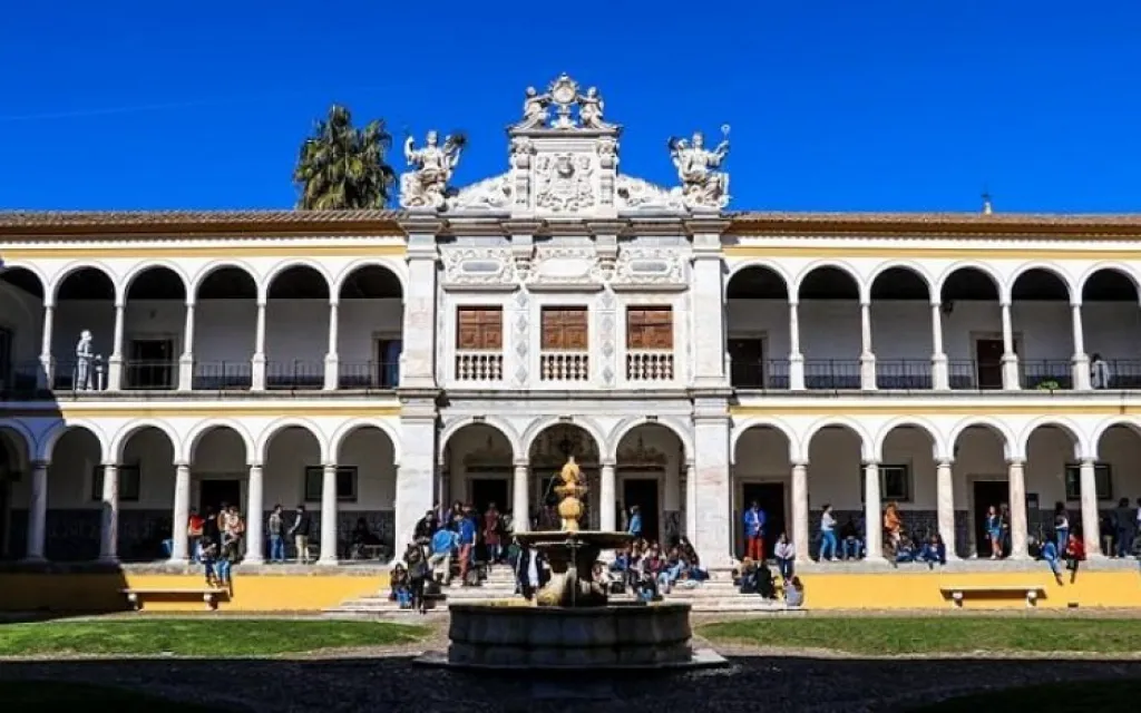 Universidad