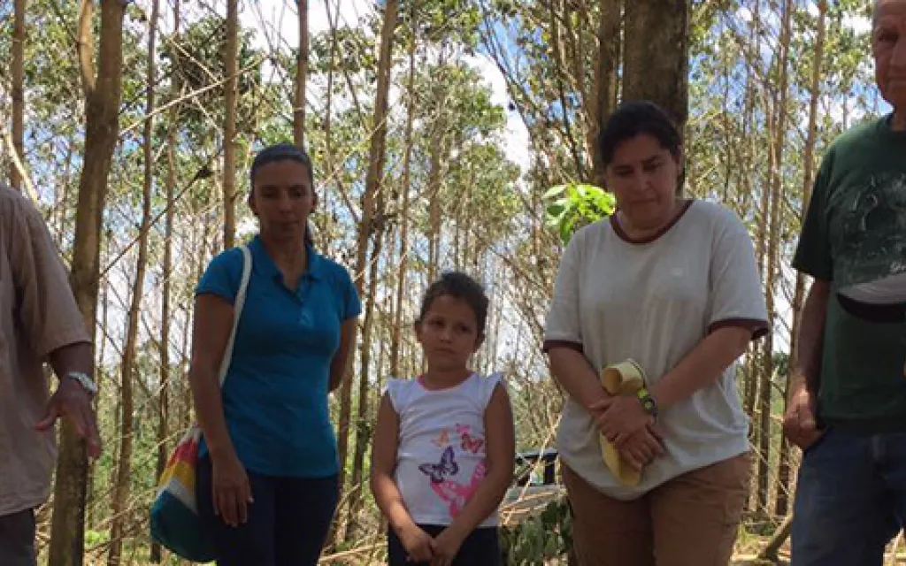 grupo de ingenieros forestales